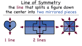 What is a Line of Symmetry?